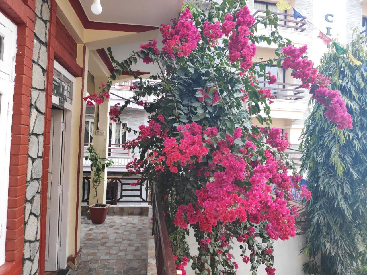Hotel Angel Pokhara Exterior photo